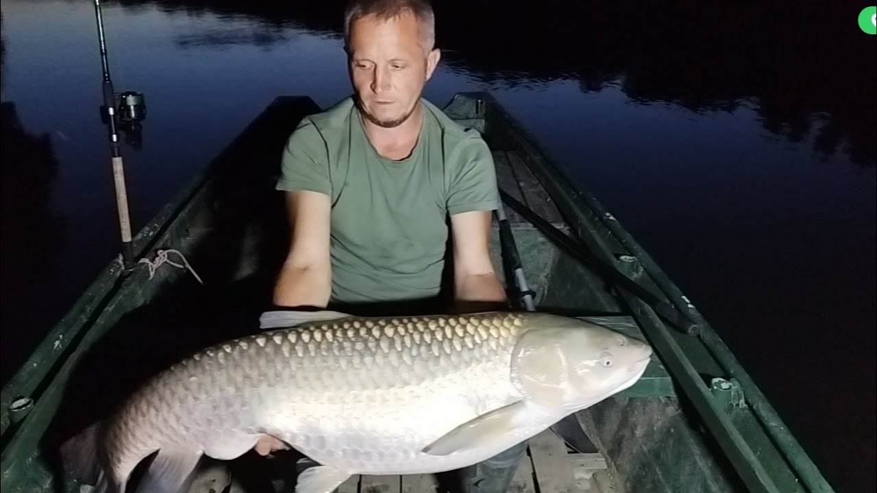 45.rész - Amur nyolckor - My Fishing