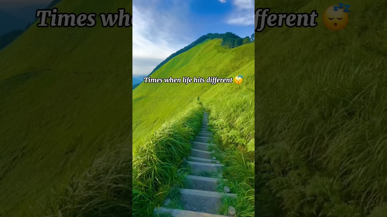 Times when life hits different 😴 
