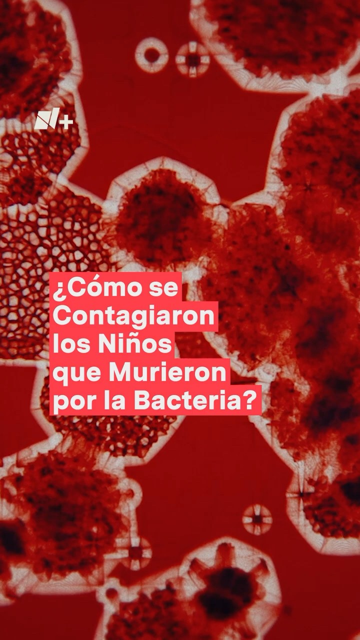 Klebsiella Oxytoca: ¿Cómo se contagiaron  los niños que murieron por la bacteria? - N+ #shorts
