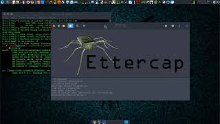 Ethical Attack : MITM (MAN-IN-THE-MIDDLE) ATTACK PROPAGATION :- ETTERCAP & BeEF FRAMEWORK