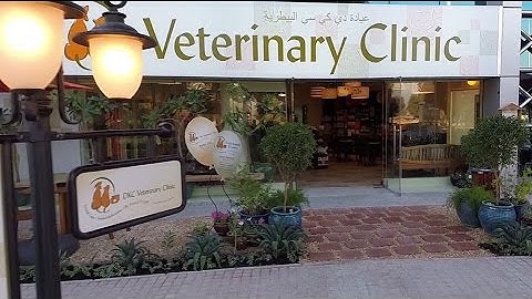 DKC Veterinary Clinic ~ Building it from scratch to finished