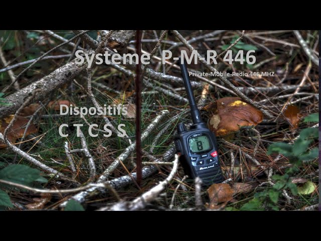 MIDLAND G9-PRO-KIT1 utilisation gratuite de walkie PMR 446 + Pinganill