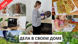 🥳УРА КАНИКУЛЫ| планы на лето, прогулка по саду, вафли из кабачков