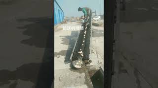 Engineering the Modern E-Bike Revolution. #shorts