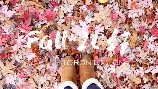 Fall 2017 // Toronto 🍁