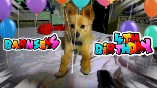 Barnseys 4th birthday party 
