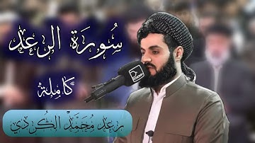 سورة الرعد کاملة | تلاوة في منتهى الجمال |القارئ رعد الكردي 2021-1442  full surah al raad