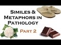 SIMILES AND METAPHORS IN PATHOLOGY PART 2
