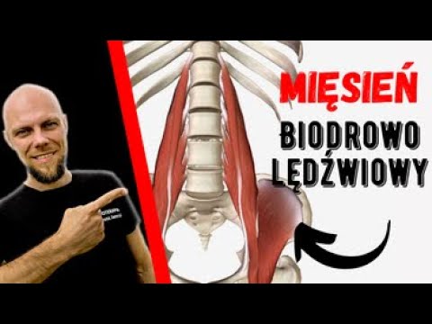 Mięsień biodro - lędźwiowy ; anatomia, przyczyny bólu, objawy i autoterapia