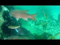 Middle of video