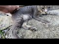 その手を離さないニャ【4K】
