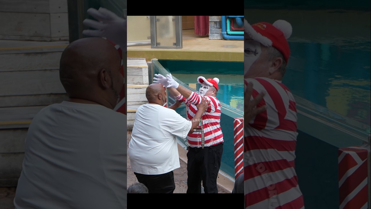 Tom o mímico pegou emprestado um pouco de cabelo para colocar neste homem 😂🤣 #tomthemime