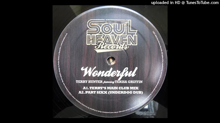 Terry Hunter Featuring Terisa Griffin | Wonderful ...