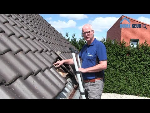 Video: Flexibele Dakpannen Voor In Huis