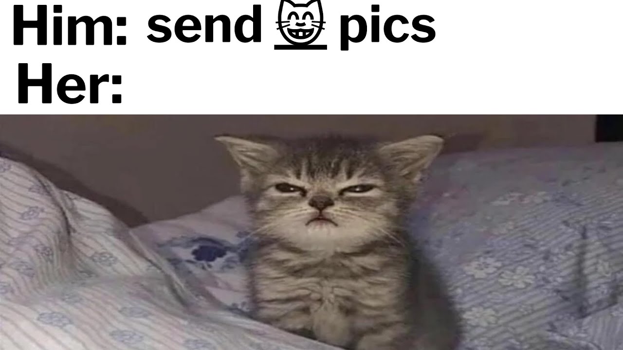 Daily Funny Memes 893 - YouTube