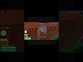 Dont try this sound to get viral 😭😭 | #bloxfruits