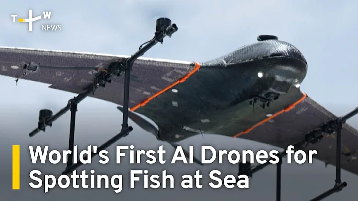 World's First AI Drone System for Spotting Fish at Sea | TaiwanPlus News - DayDayNews