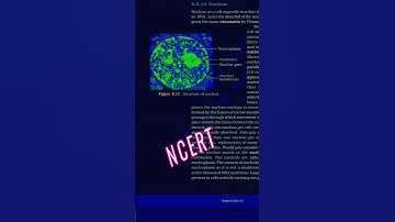 Nucleus 🧬🧬 #shorts ,#short ,#science