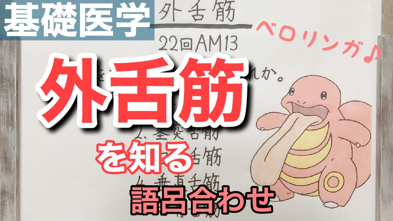 語呂合わせ 外舌筋の種類と働き Youtube 語呂合わせ 外舌筋の種類と働き Youtube