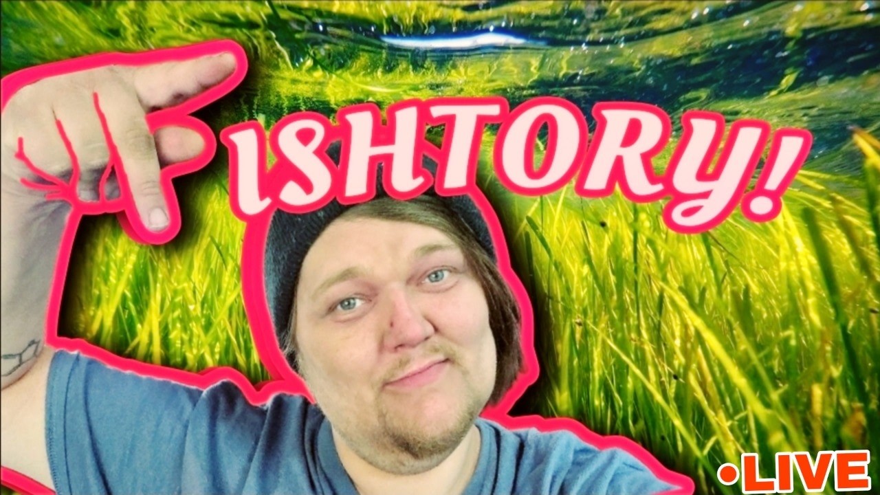We Are Live! AQUARIUM SUPPORT - Let Us Rant! Stupid Questions for Stupid People