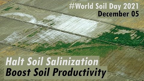 Halt Soil Salinization, Boost Soil Productivity: #WorldSoilDay 2021