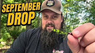 September PigJigs247 Unboxing