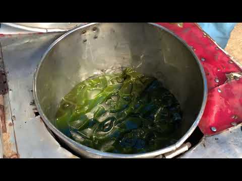 Indonesian Jelly Drink