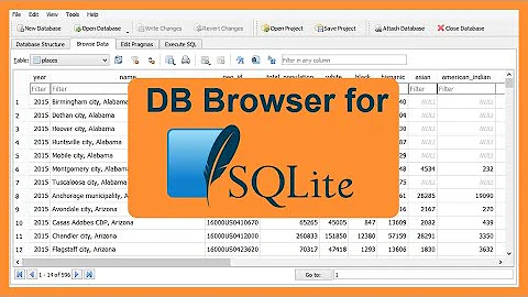 Create and Read SQLite Databases using DB Browser: How to Use DB Browser 2021