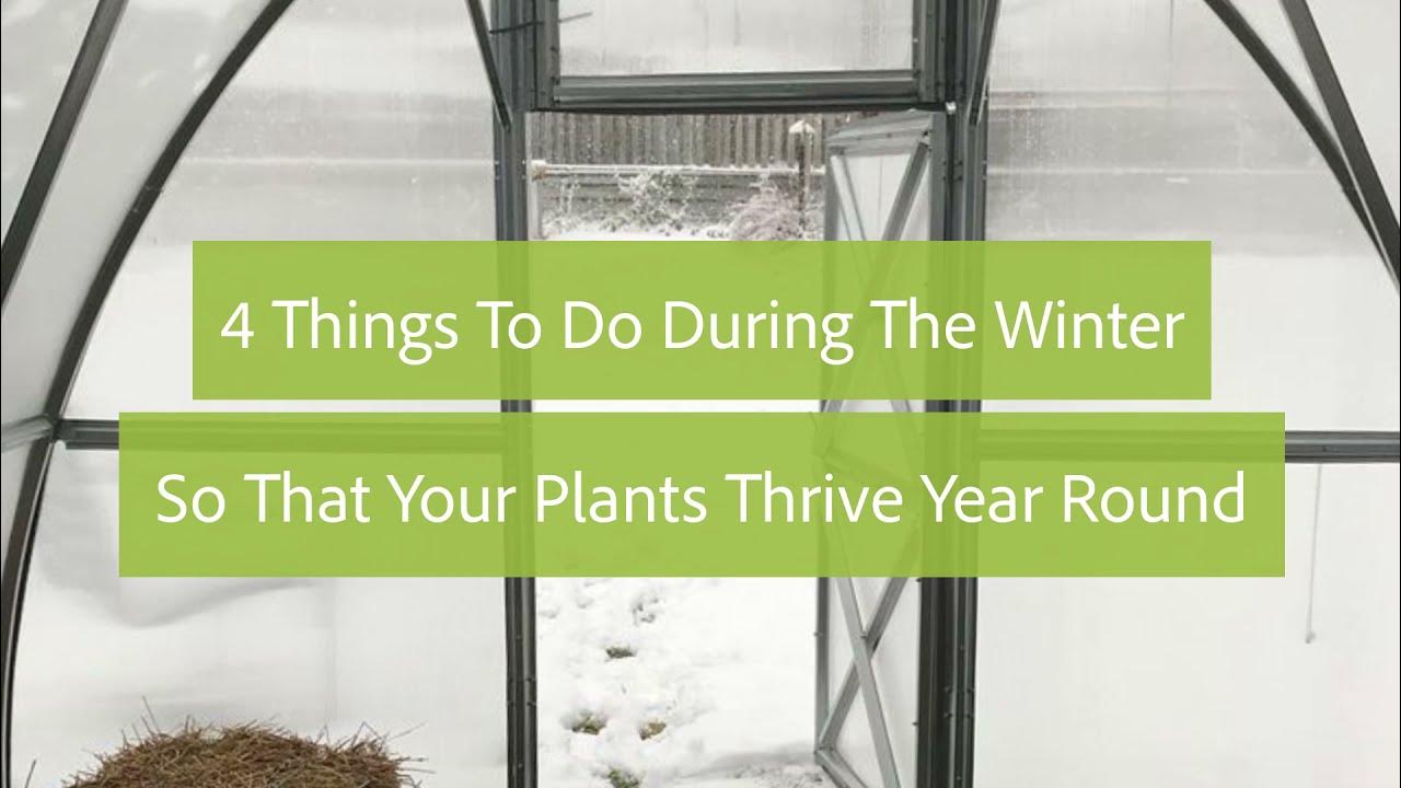 4 Things To Do During The Winter So That Your Plants Thrive Year Round