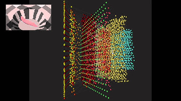 Optomotor Response Model