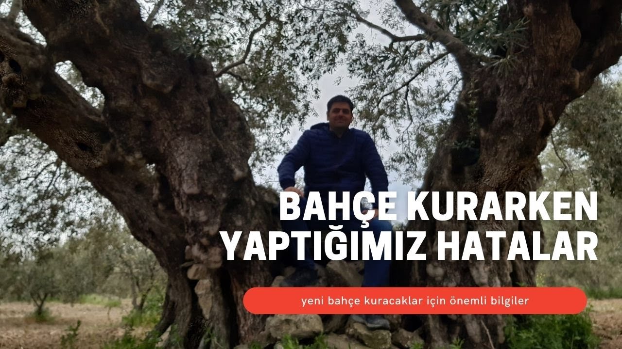 ZEYTİN VE MEYVE BAHÇESİ KURULUMU NDA DÖNÜŞÜ ZOR OLAN HATALAR