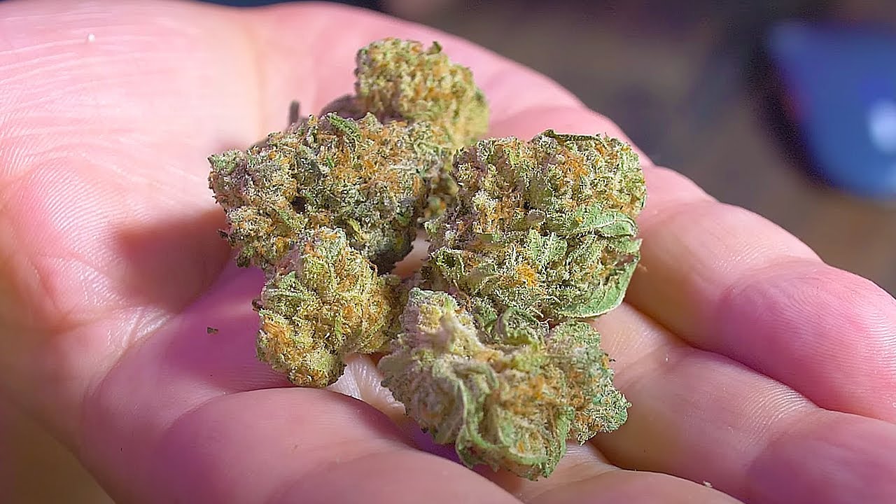 Osage Creek Pineapple Express 🌿 The Dopest Sativa for Mornings? Real Review