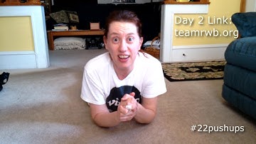 22 Pushup Challenge - Day 2