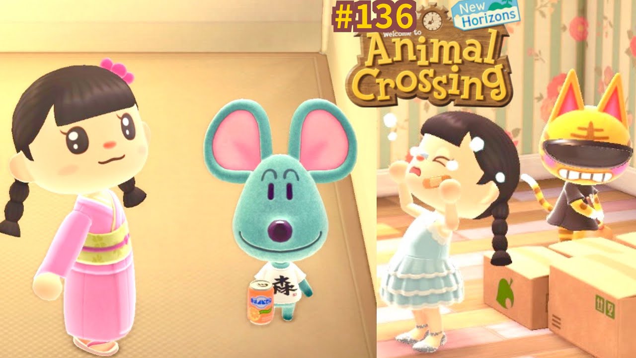 Samson me résiste ⛺️ Quémander gratuitement à une artiste 🎁⚠️ Animal