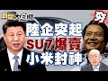 【精選】小米電動車SU7爆賣在大陸被封神了 陸企突起！小米贏麻了將整頓車界 新聞大白話