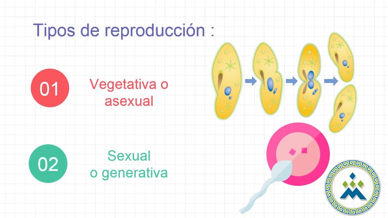 Adaptaciones de los seres vivos para la reproducción | Biología - YouTube