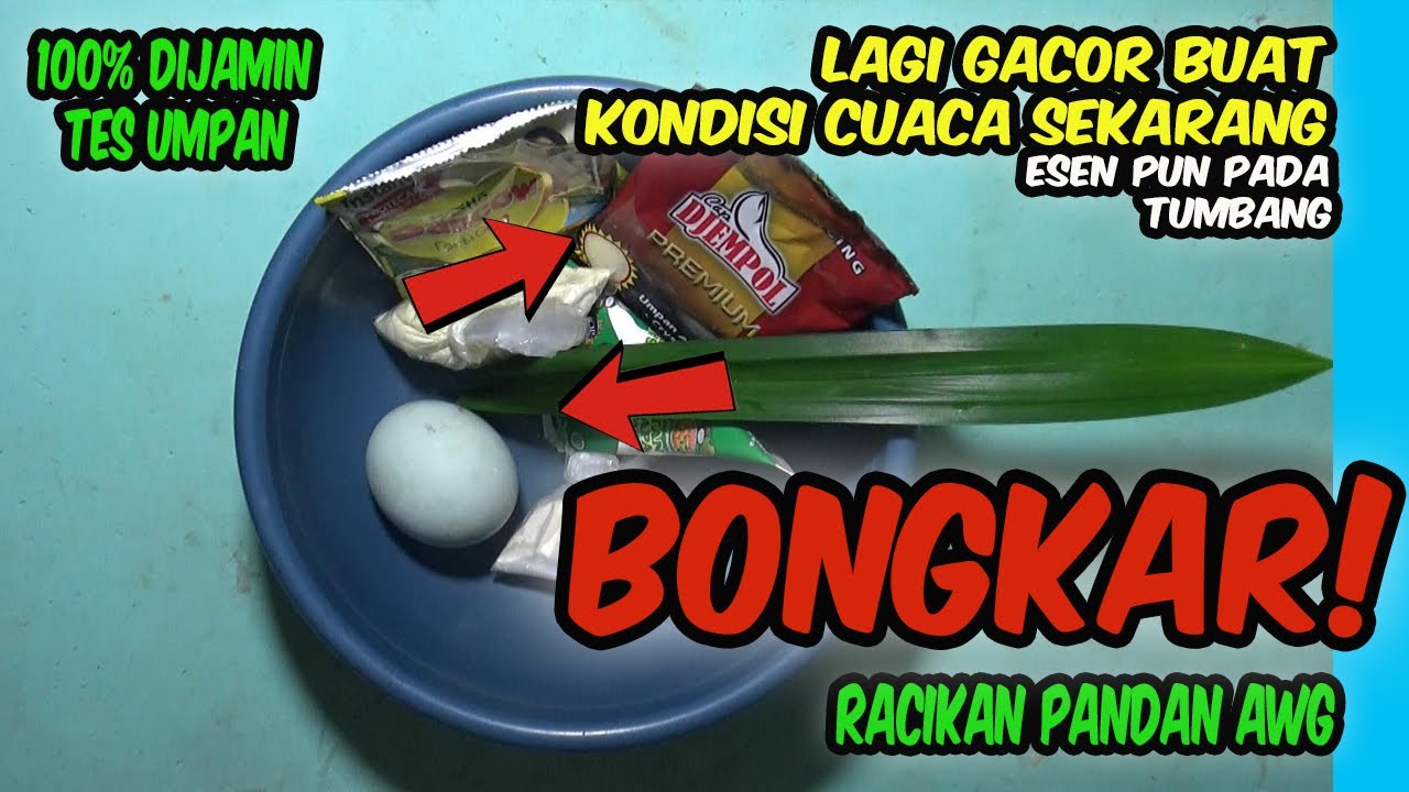 BONGKAR RACIKAN UMPAN PUTIH IKAN MAS PANDAN AWG-24 Umpan tergacor saat ini  #umpanikanmas