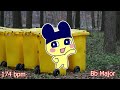 End of video