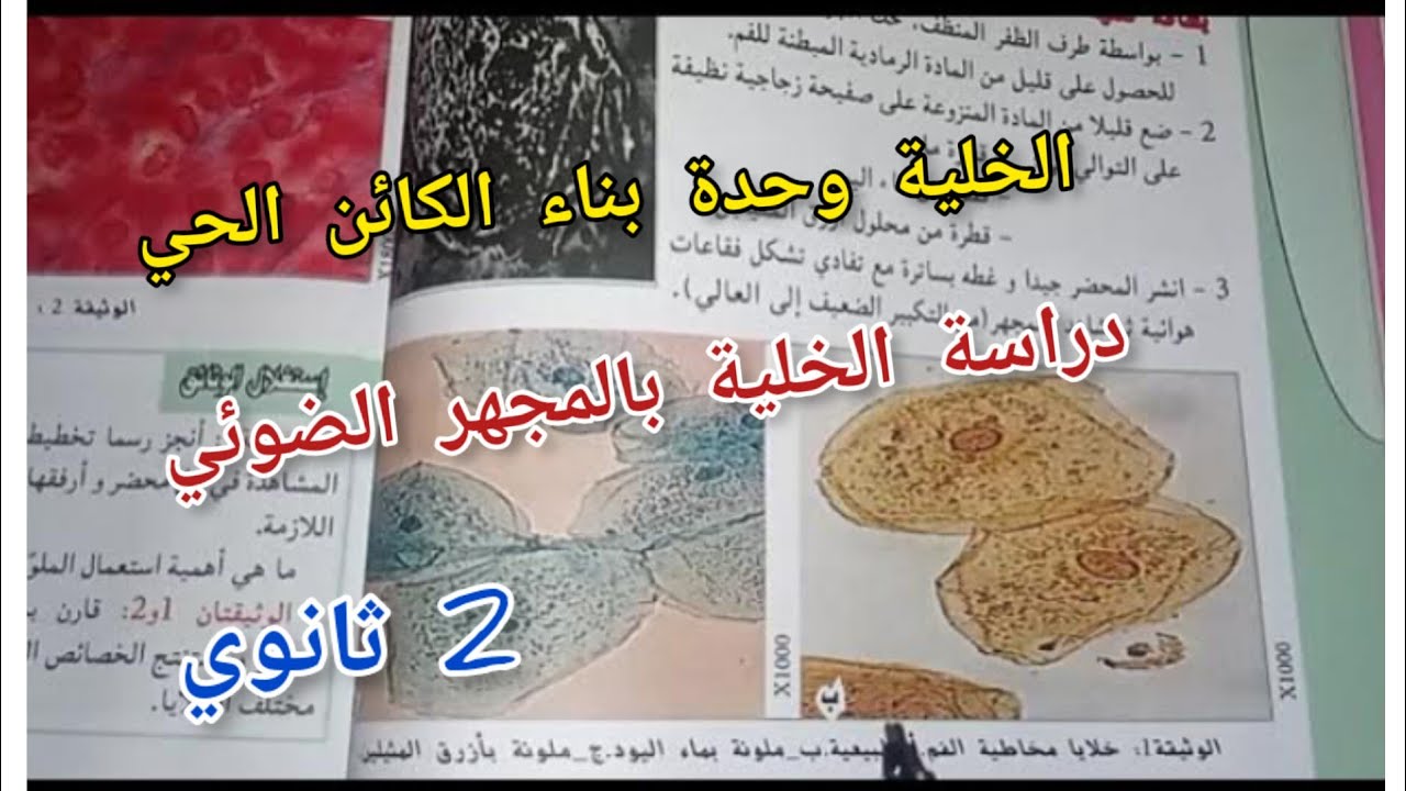 دراسة الخلية بالمجهر الضوئي|ثانية ثانوي شعبة علوم تجريبية
