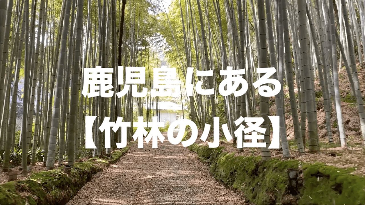 鹿児島穴場Vol.1【児玉美術館の小径】