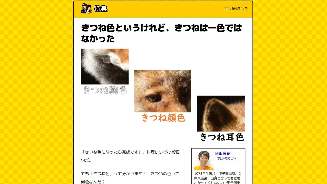 デイリーポータルZ アフタートーク・きつね色というけれど、きつねは