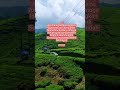 #quotes #motivasikerja #motivasi #motivasidiri #fypシ゚viral #shortvideo #shortsviral #shorts