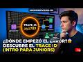 🚨De Junior a Héroe: El secreto para encontrar bugs en segundos (mientras todos entran en pánico)