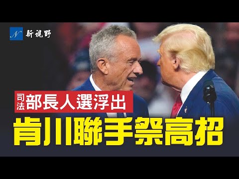 清理沼泽！肯尼迪川普提出一项联合倡议。众望所归，三名MAGA竞争司法部长。索托马约尔拒绝退休。民主党内部检讨，明星高价出场费曝光。 川普 肯尼迪 哈里斯 | 新视野 第1590期 20241111