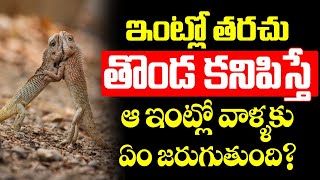 ఇంట్లో తరచు తొండ కనిపిస్తేజరిగేది ఇదే.. Thonda Shakunalu Telugu Thonda Eduruvasthe Em Jarugutundi