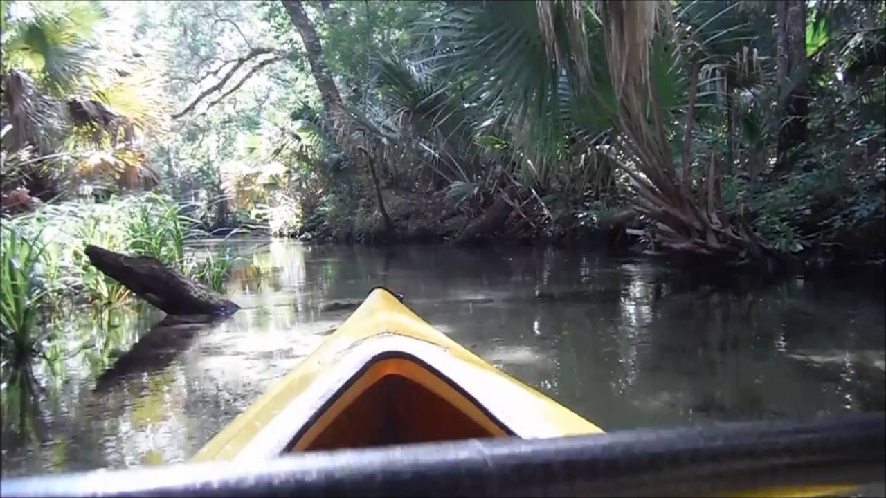 Kayaking Juniper Springs, Florida YouTube