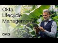 Okta  okta lifecycle management