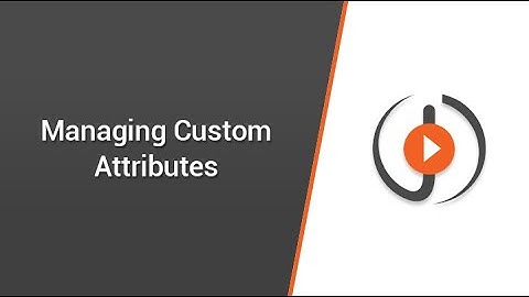 Managing Custom Attributes
