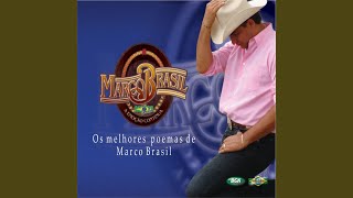 O Menino da Arena - Marco Brasil