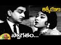 ANR Hits | Swagatham Telugu Video Song | Aathmeeyulu Movie Video Songs | Vanisri | Mango Music